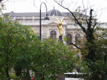 �E�B�[����w