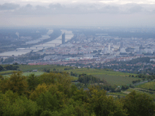 �n�C���Q���V���^�b�g