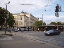 �E�B�[����w